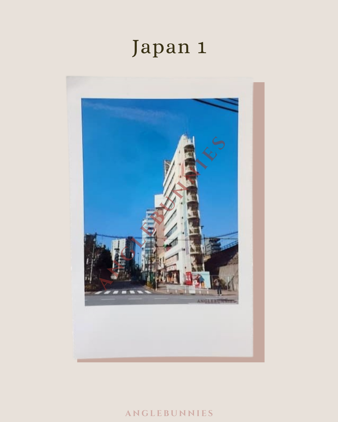 AngleBunnies Travel Series - Polaroid Size Photo