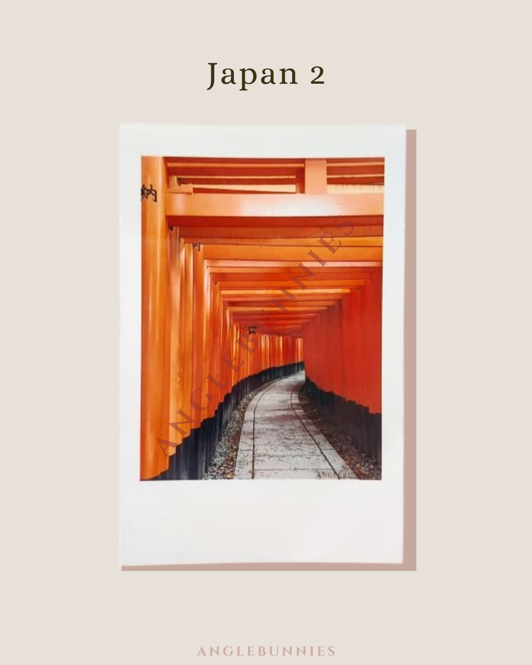 AngleBunnies Travel Series - Polaroid Size Photo