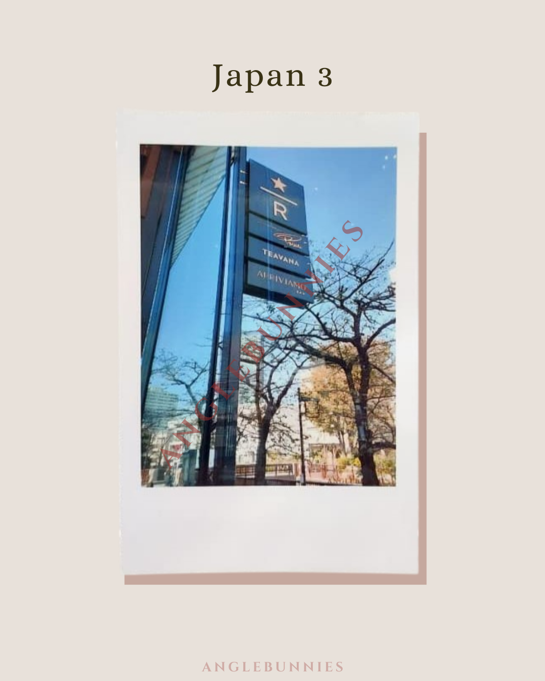 AngleBunnies Travel Series - Polaroid Size Photo