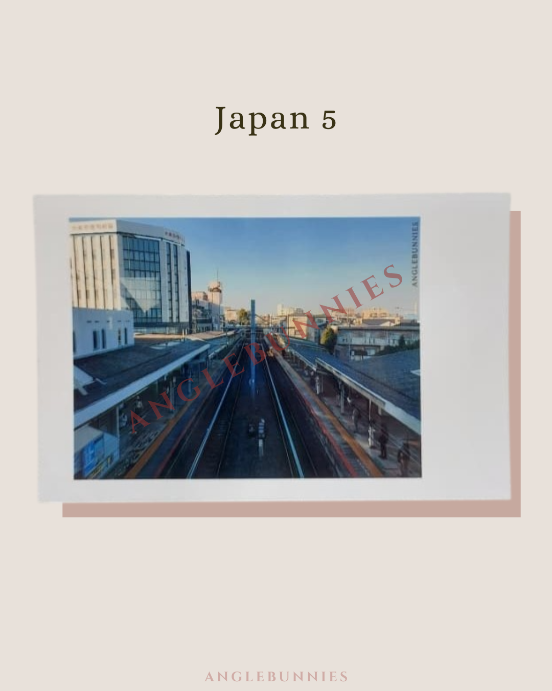 AngleBunnies Travel Series - Polaroid Size Photo