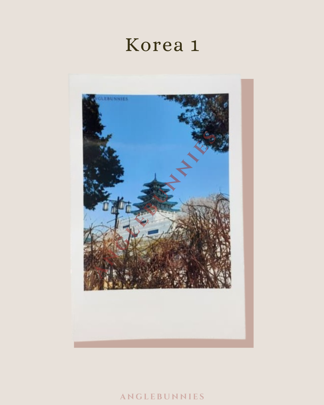 AngleBunnies Travel Series - Polaroid Size Photo