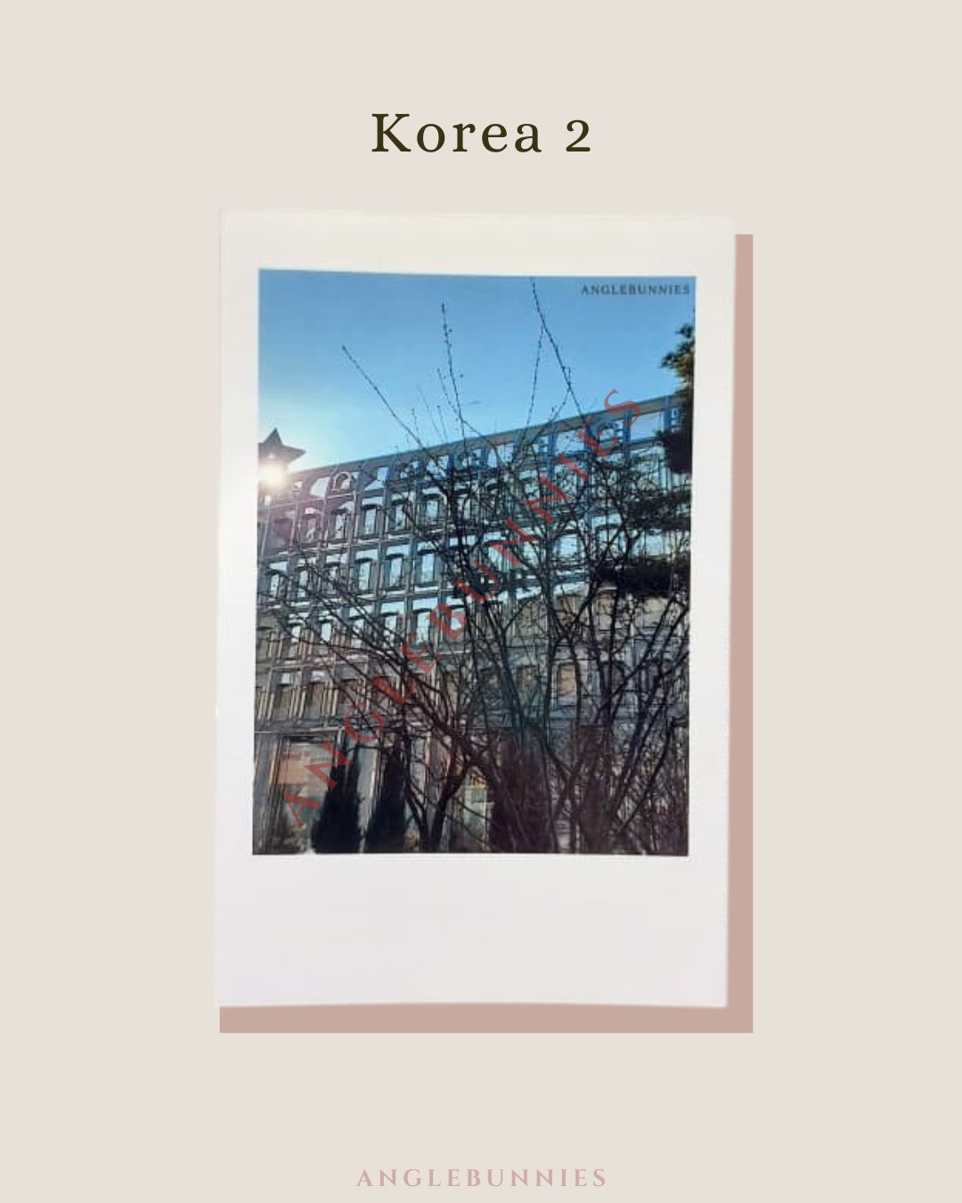 AngleBunnies Travel Series - Polaroid Size Photo