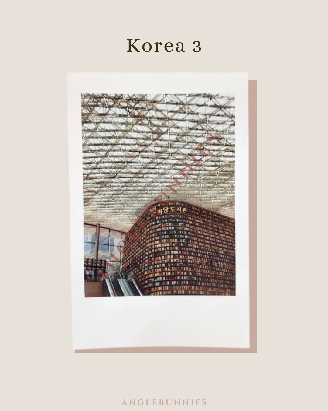 AngleBunnies Travel Series - Polaroid Size Photo
