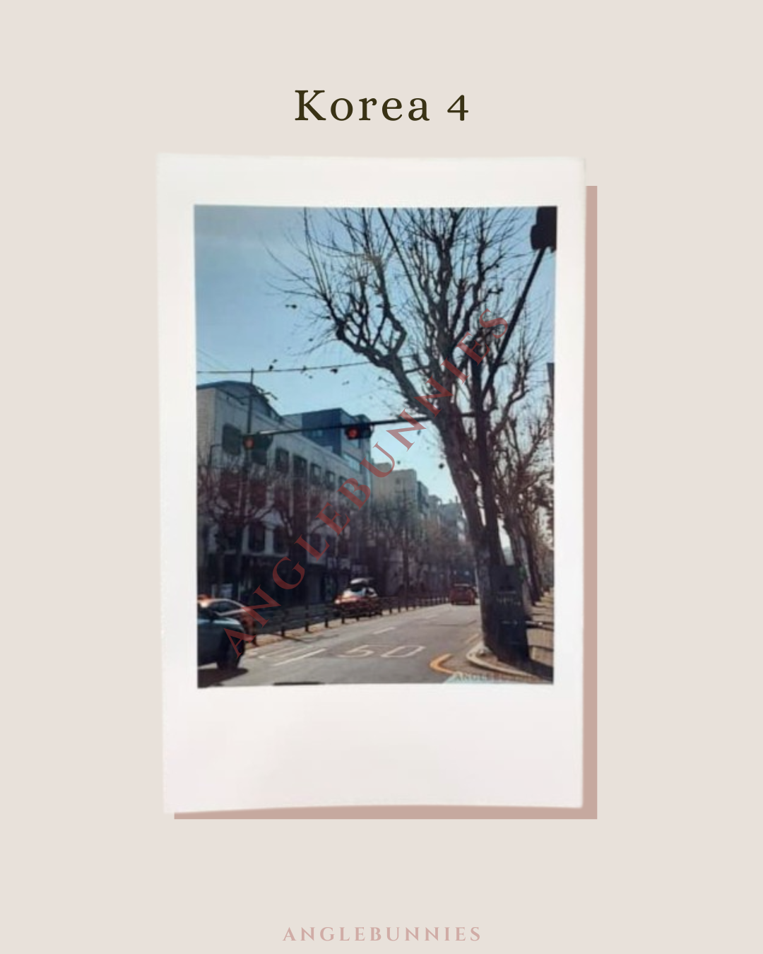 AngleBunnies Travel Series - Polaroid Size Photo