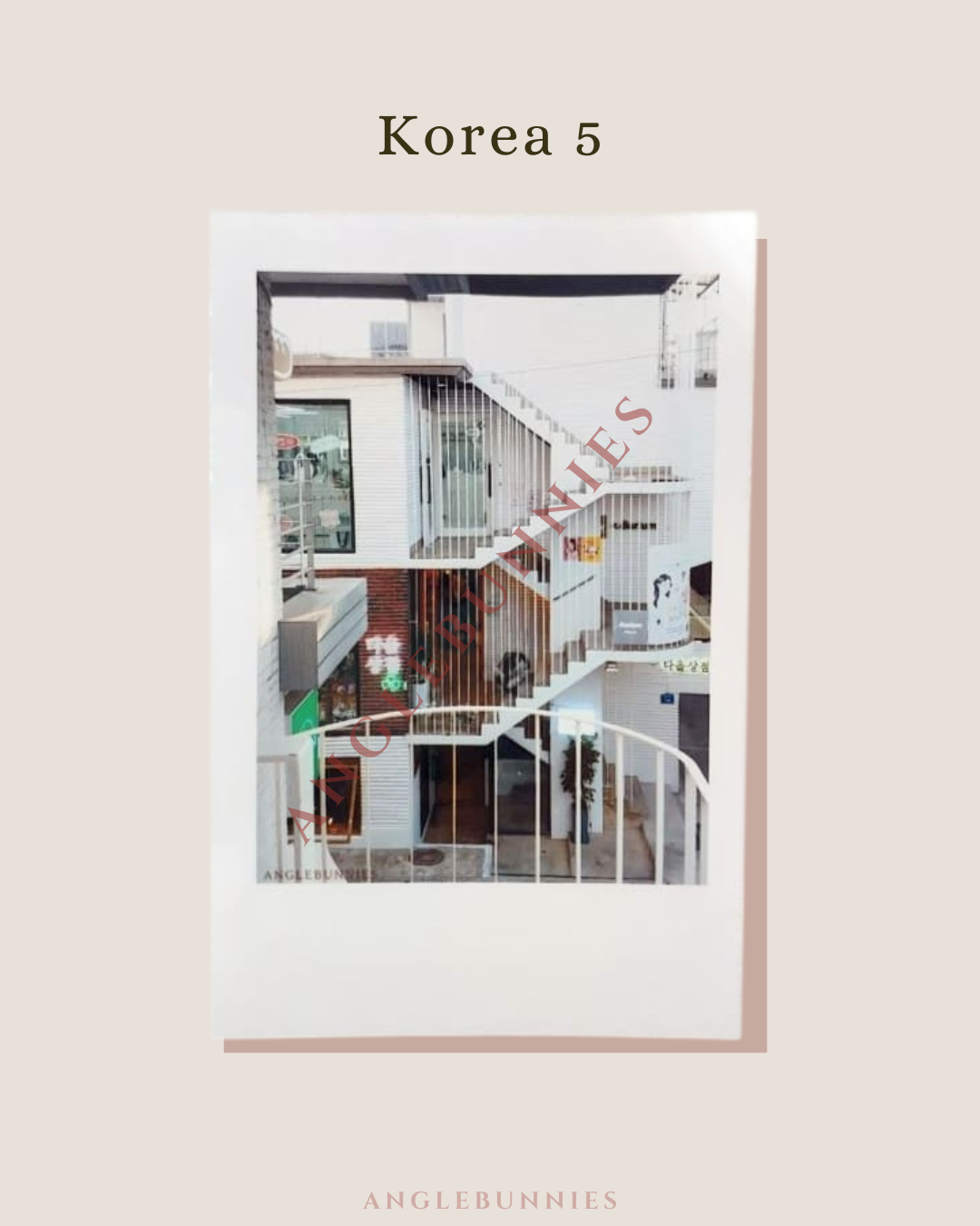 AngleBunnies Travel Series - Polaroid Size Photo